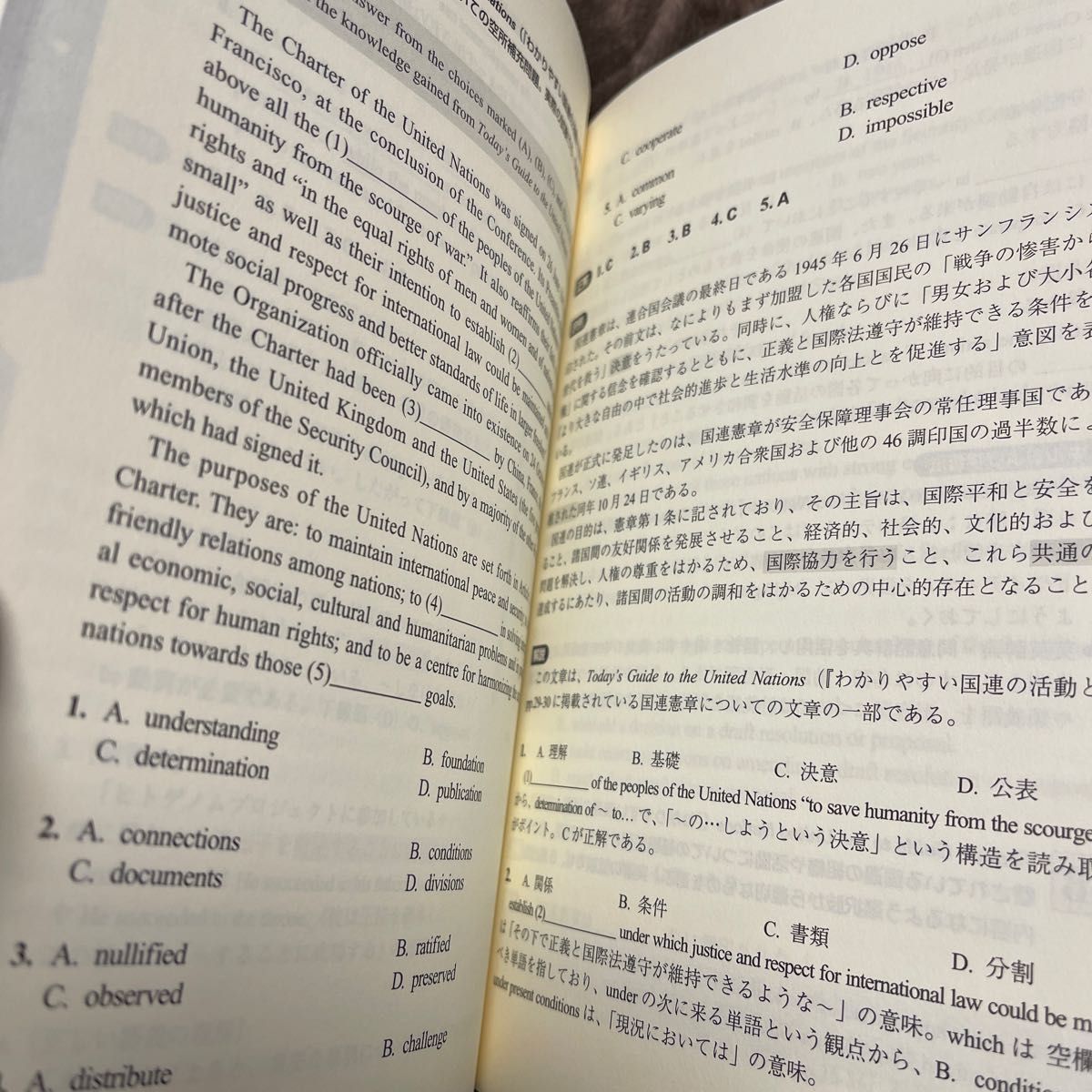 国連英検Ｂ級・Ｃ級対策 日本国際連合協会／編　服部孝彦／監修　江原美明／著　谷山沢子／著　Ａｎｄｒｅｗ　Ｈａｙｅｓ／著