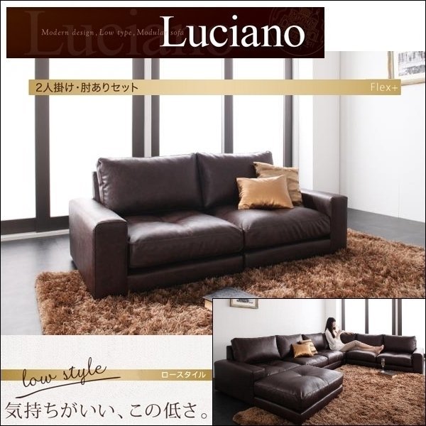 [0192] module low sofa [Luciano]2P set elbow equipped [1Px2](5