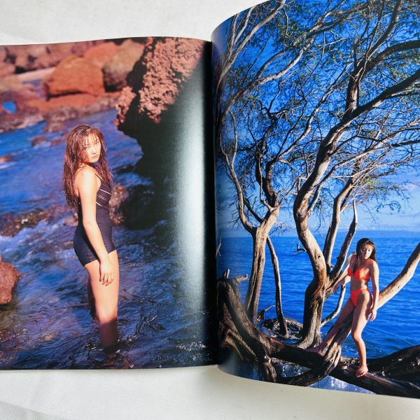 NY066 JUICY Yamada Mariya photograph photographing tree . male BOMB special editing issue 1997 year 6 month 30 day 