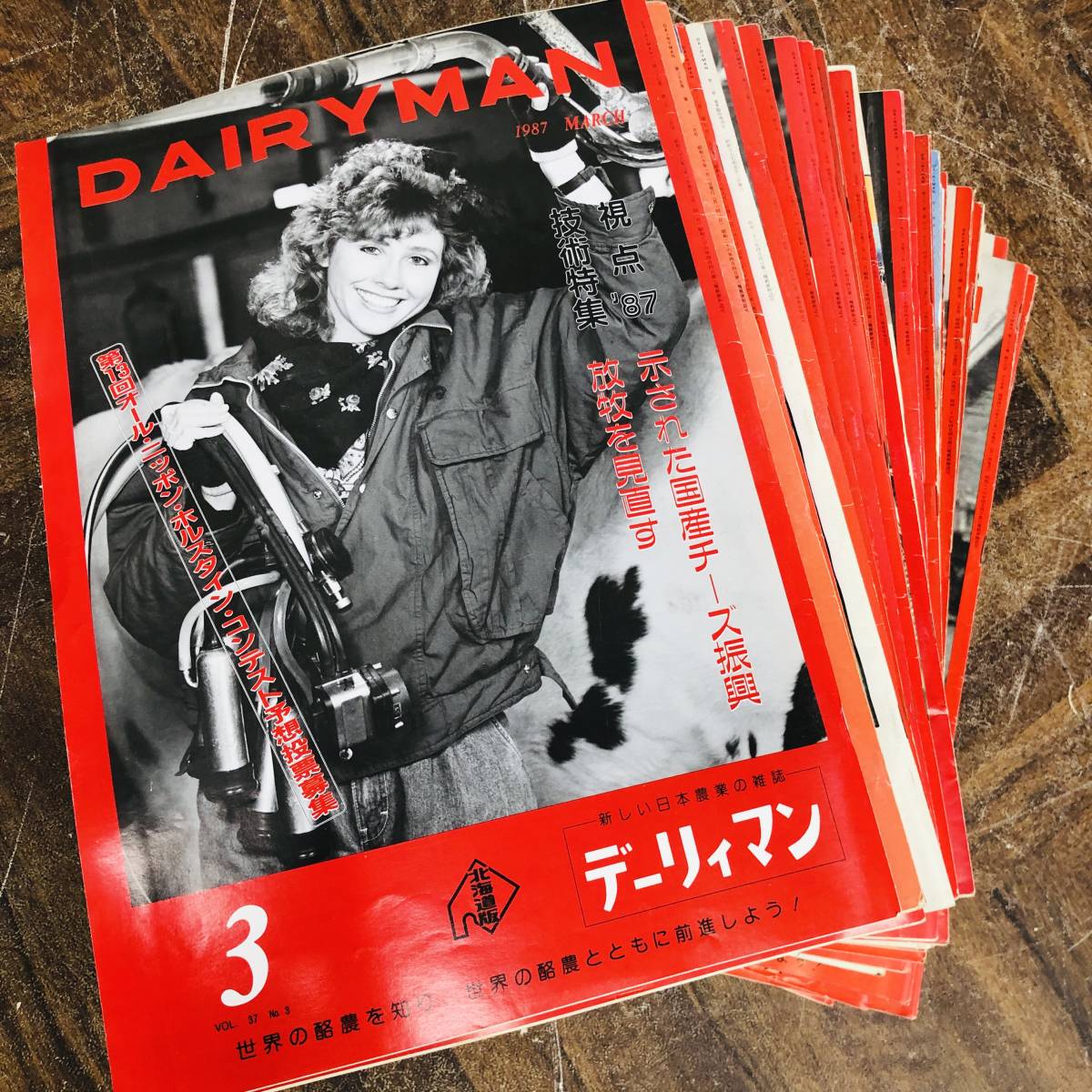 DAIRYMAN デーリィマン 北海道版 新しい日本農業の雑誌 1965年～1987年 抜けあり 31冊セット 増刊号 酪農 農業 雑誌 菊MZ_画像1