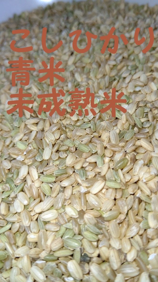 ２４キロ 滋賀こしひかり上くず米未成熟米青米玄米｜PayPayフリマ