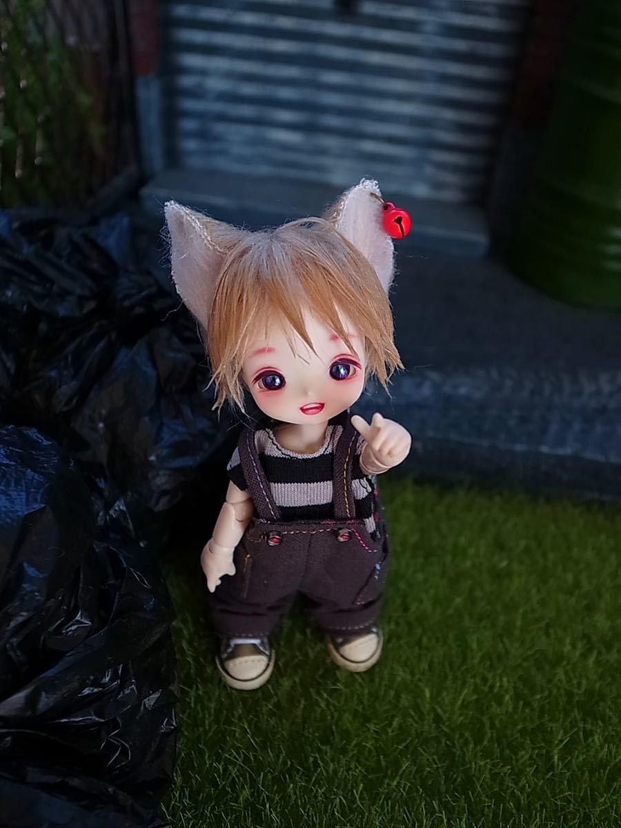 カスタムドール《テノリネコ》Larimarworks製 ミミヘッド ヘッド+アイ+ネコ耳ウィッグのみ 6