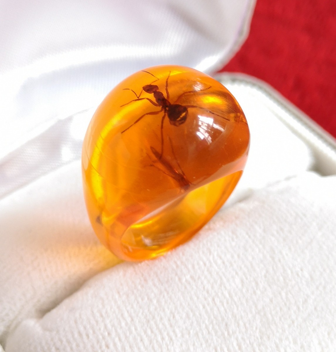  Vintage ring rare amber insect entering amber 795 natural 