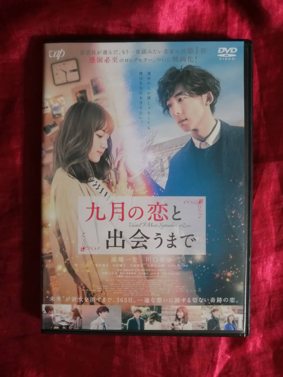 DVD『九月の恋と出会うまで 』 高橋一生/川口春奈_画像1