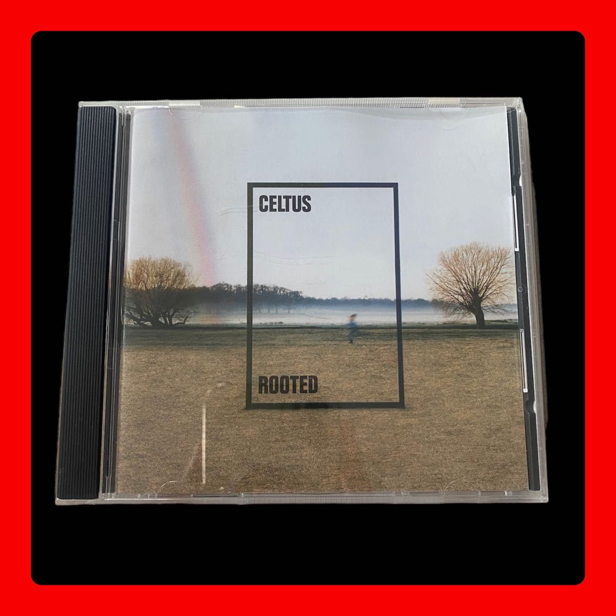 【♪中古商品】【輸入盤】ケルタス/ルーテッド/CELTUS/ROOTED/CD/洋楽/ロック/フォーク/ポップス