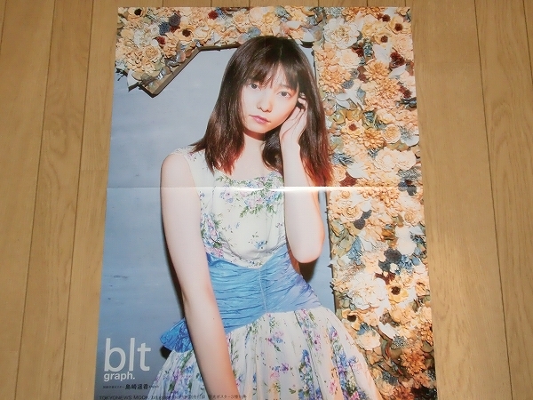 雑誌付録ポスター 島崎遥香 5枚セット AKB48の画像6