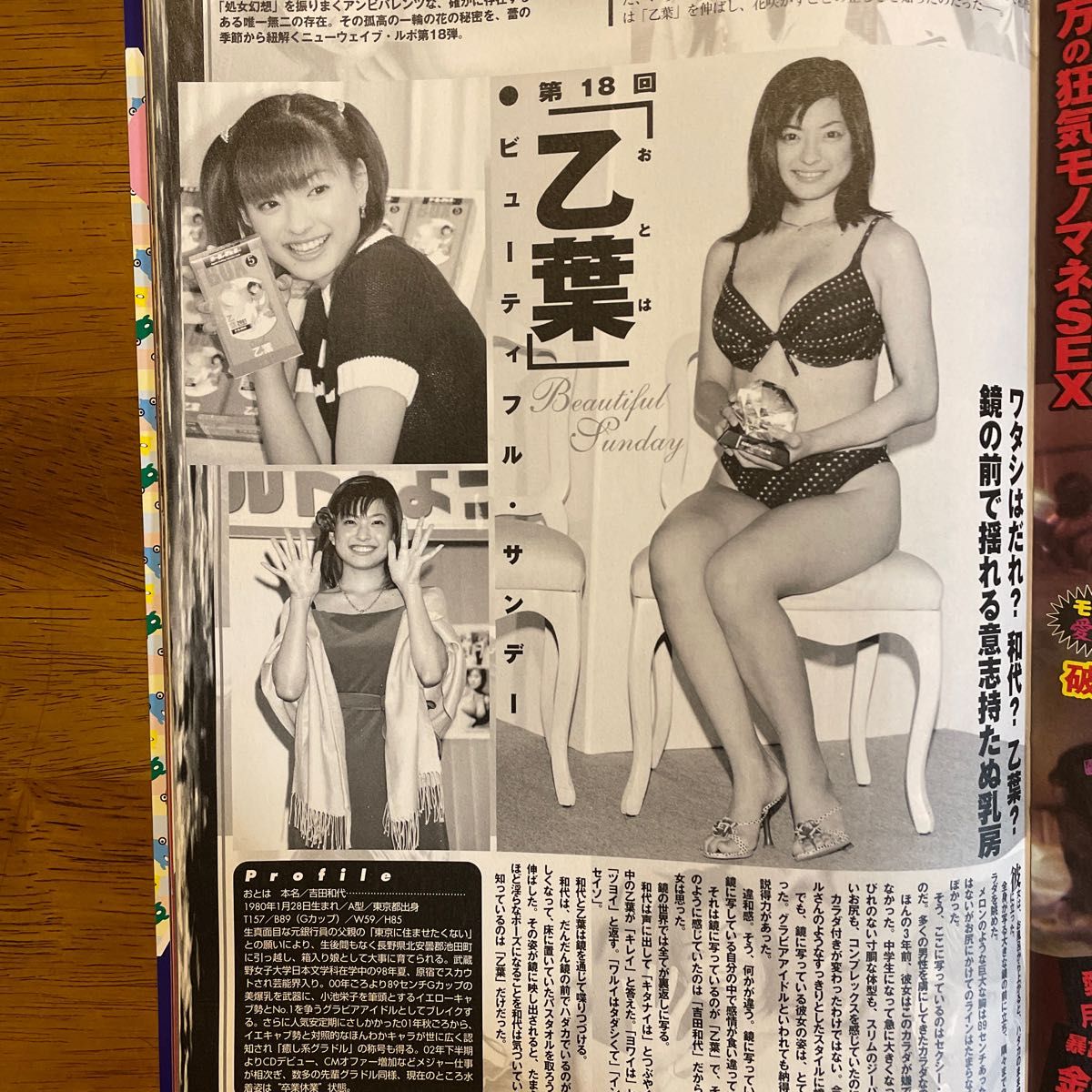 雑誌「あっと・ブブカ」2003年、小倉優子映像などCD-ROM 2 枚付き