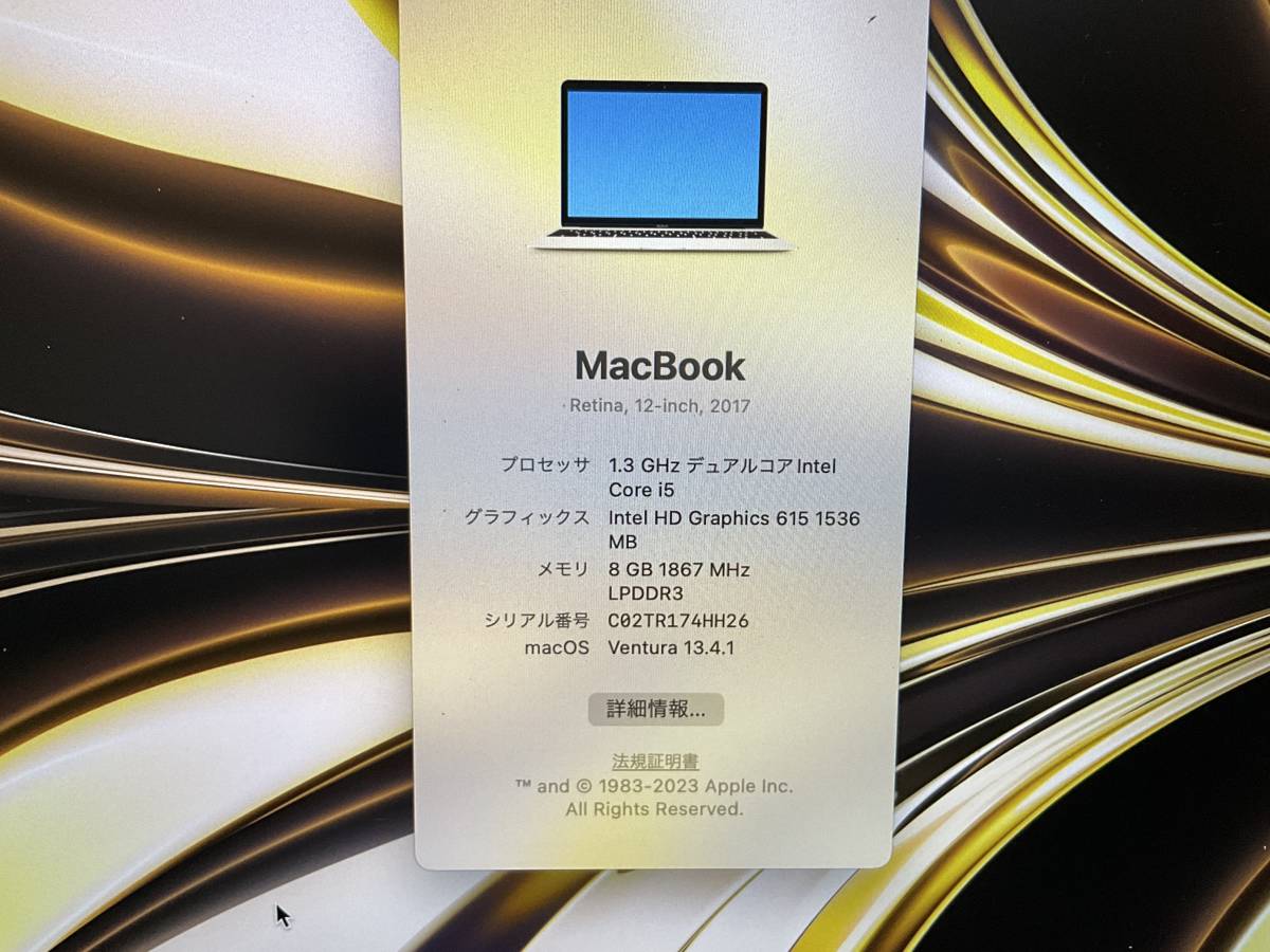 Macintosh MacBook 12インチ　ゴールド　　2017美品_画像5
