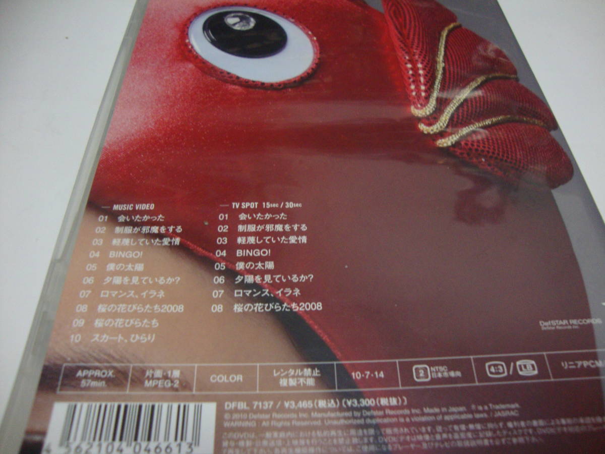 AKB48 逃した魚たち シングル・ビデオコレクション DVD_画像2