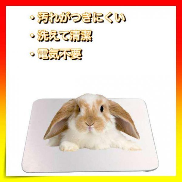 * cold sensation aluminium plate 10×4cm small animals summer . middle . measures hamster pet 