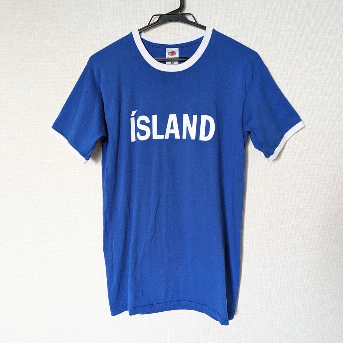 FRUIT OF THE LOOM ISLAND Tシャツ 半袖 フルーツオブザルームTシャツ 半袖Tシャツ