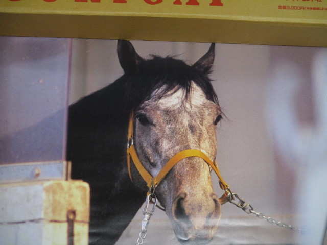 中古!競馬!オグリキャップカレンダー1991(7枚+サンデーサイレンス