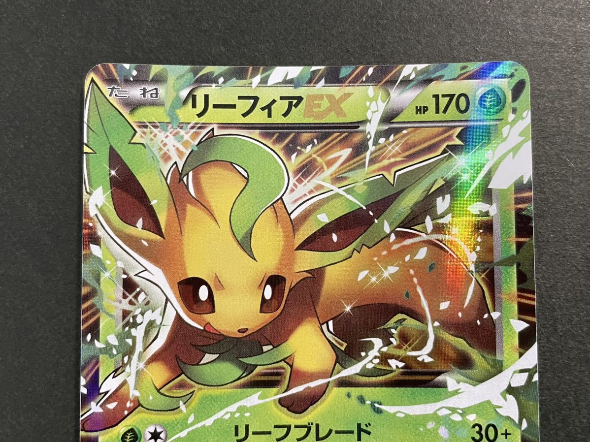 ポケモンカード リーフィアEX プロモ XY-P | www.qmsbrasil.com.br