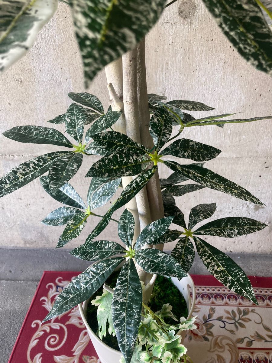 光触媒 人工観葉植物 ウォールグリーン フェイクグリーン 斑入りパキラ