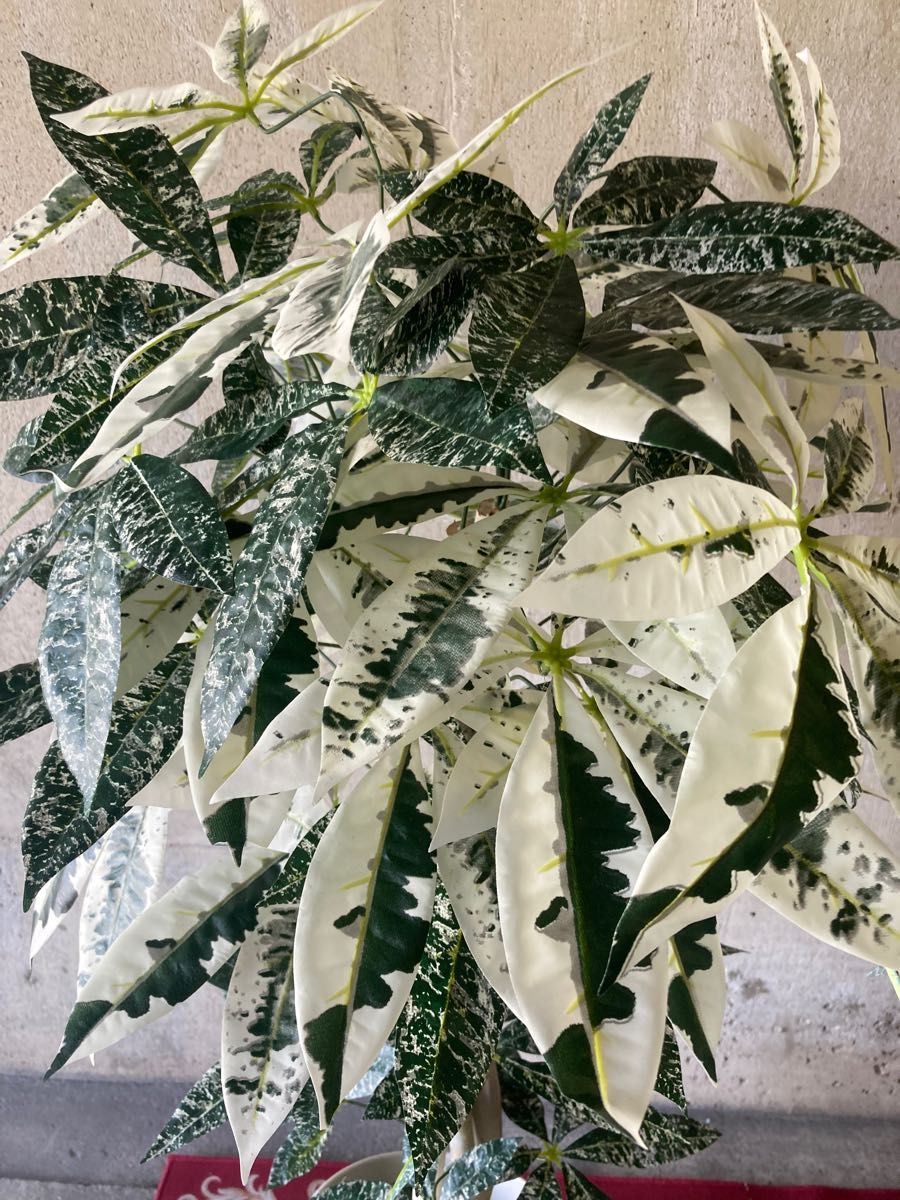 光触媒 人工観葉植物 ウォールグリーン フェイクグリーン 斑入りパキラ