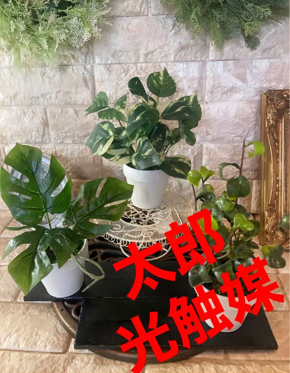 光触媒 人工観葉植物 ウォールグリーン フェイクグリーン 3種白 - 通販