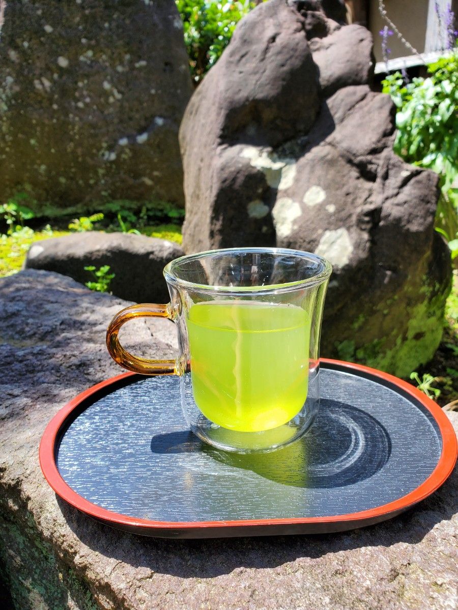 深むし茶　ティーバッグ　2袋　熊本県産