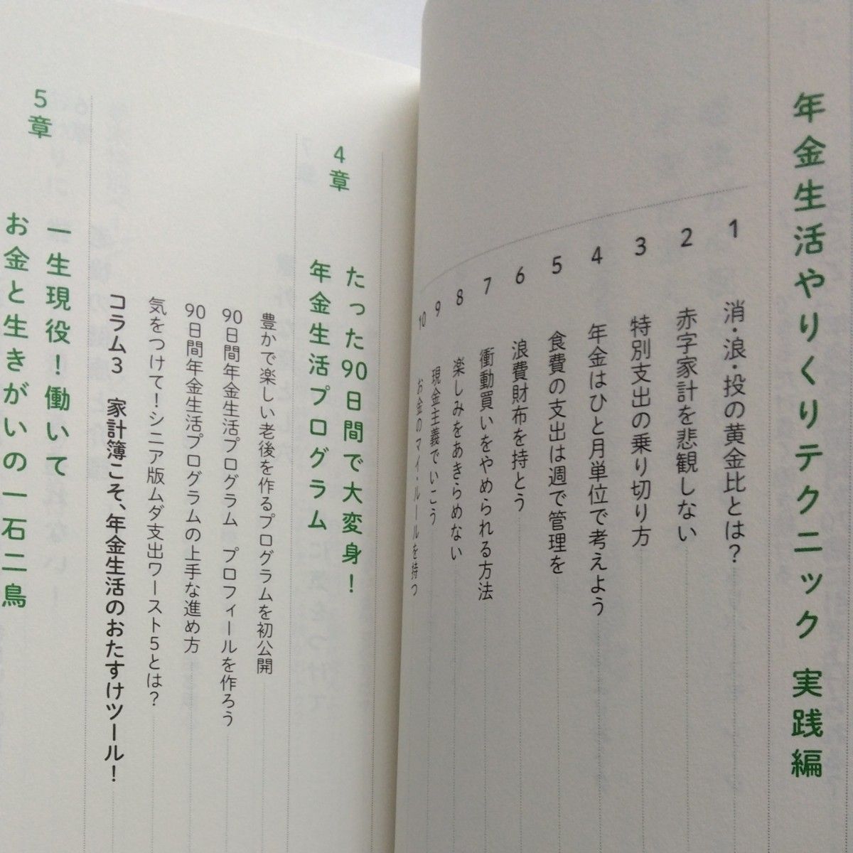 ラクラク年金生活入門　実はそんなに怖くない！