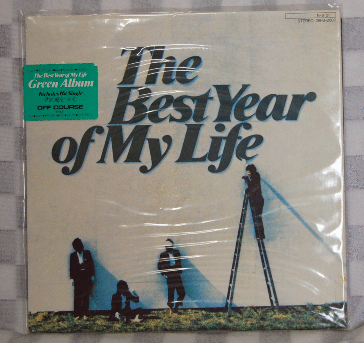 Выключенный курс/лучший год в моей жизни/28FB-2002/LP Records
