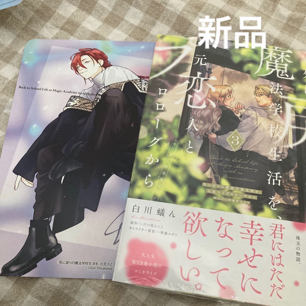 『特典のみ』死に戻りの魔法学校生活を、元恋人とプロローグから 3巻アニメイト特典 アニメイト特典 死に戻りの魔法学校生活を 元恋人とプロローグ