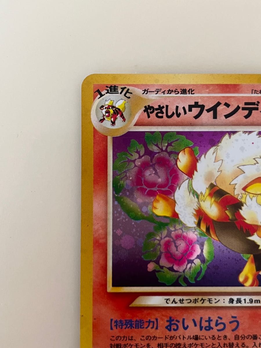 ポケモンカード/美品 旧裏面 やさしいウインディ/闇 そして光へ ポケモンカード/美品 旧裏面 やさしいウインディ/闇 そして光へ