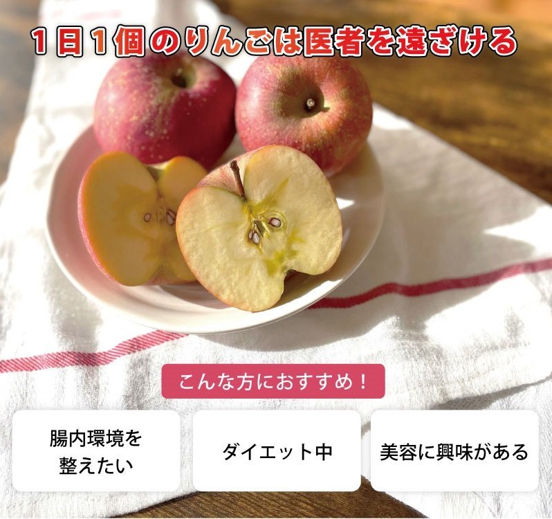 りんごファイバー ふじPG 100g ×3袋 青森県産 アップル 粉末