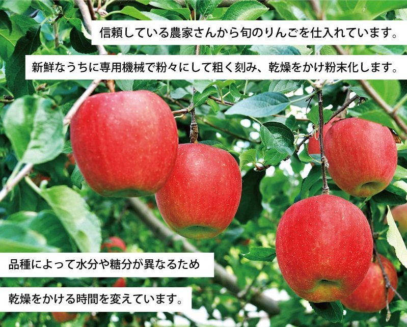 りんごファイバー ふじPG 100g ×3袋 青森県産 アップル 粉末