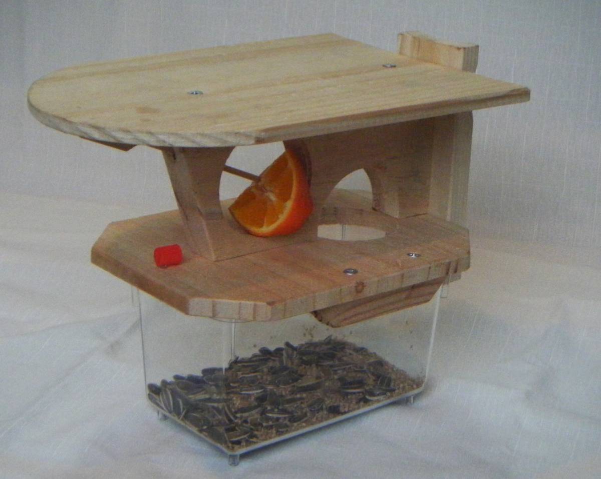  small bird for bait box * transparent bait box type * rain toy vertical installation * person direction free 