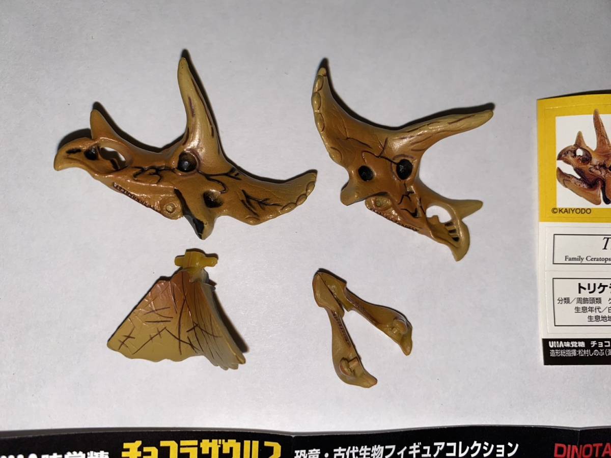 【単品】UHA味覚糖 チョコラザウルス DINOTALES 第1シリーズ 「024 トリケラトプス(頭骨)」 海洋堂 恐竜・古代生物フィギュアコレクション_画像2