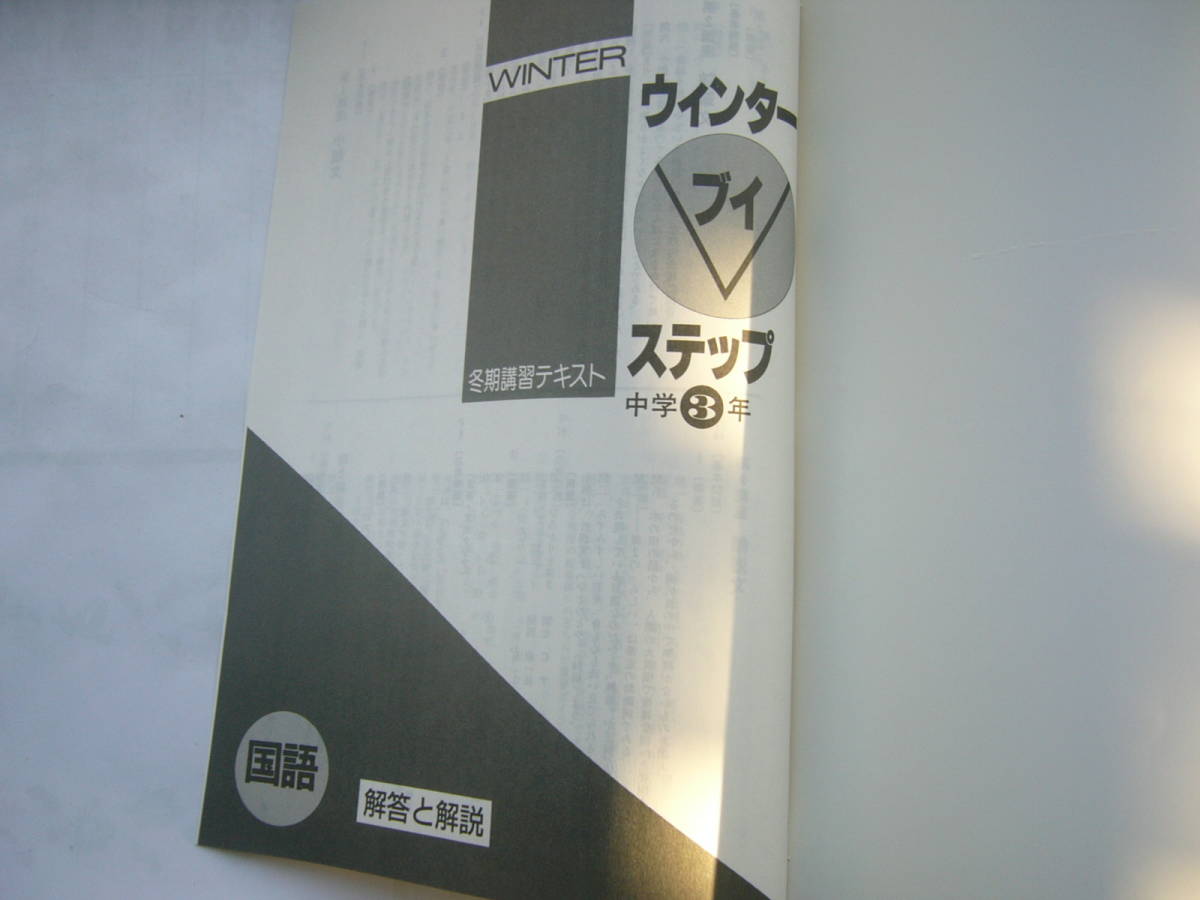 冬期講習テキスト 中3 セット/「ウインター練成 英語3年」＋「ウインター ブイ ステップ 中学3年 国語」/解答と解説つき_画像5