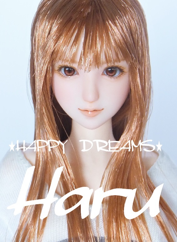 見事な ☆HAPPY DREAMS☆ １/６カスタムドールヘッド 「ハル」 オビツ