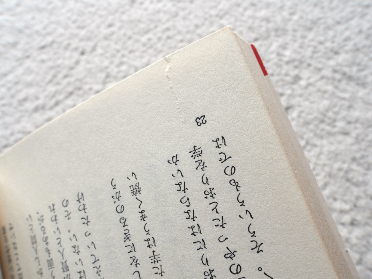 若い君たちに伝えたい 明日の日本を拓くために (講談社) 松下 幸之助_画像8