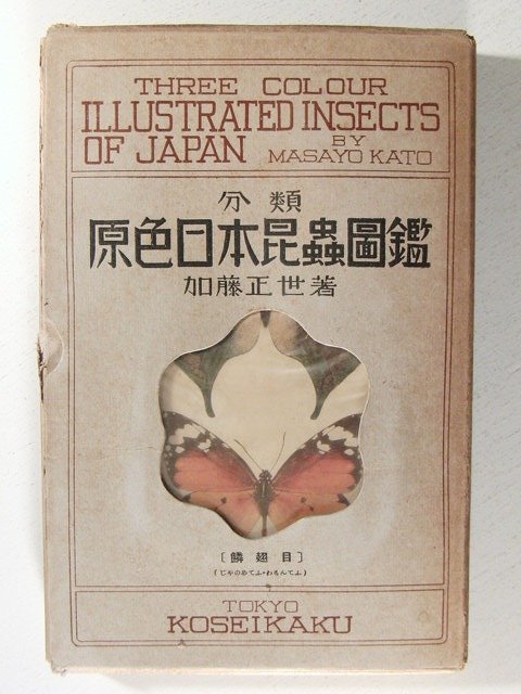 分類 原色日本昆虫図鑑11 鱗翅目 じゃのめてふ・もわんてふ◆加藤正世/厚生閣/昭和8年_画像1