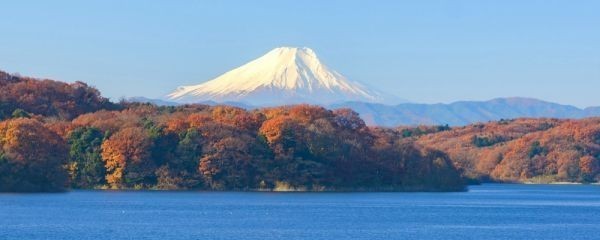 代購代標第一品牌 樂淘letao 秋富士紅葉の富士山狭山湖もみじパノラマ絵画風壁紙 ポスター特大パノラマ版1440 376mm はがせるシール式 103p1