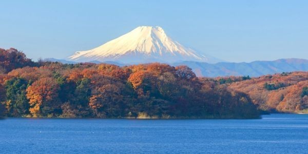 秋富士紅葉の富士山狭山湖もみじパノラマ絵画風壁紙ポスター特大版1152 376mm はがせるシール式 103s1 日本代购 买对网