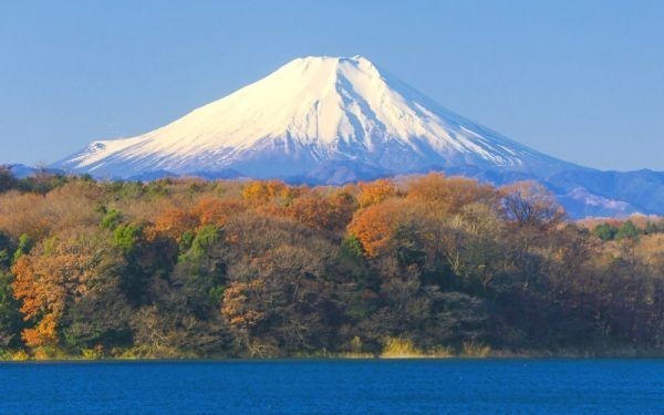 ヤフオク 秋富士 紅葉の富士山 狭山湖 もみじ 絵画風 壁紙