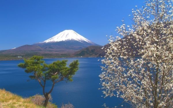 春の富士山と本栖湖の景色 絶景 風光明媚な景色 絵画風 壁紙ポスター 特大ワイド版921×576mm（はがせるシール式）030W1_画像1