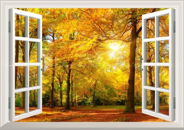 [ window specification ]. leaf autumn ... forest .. maple yellow leaf autumn park .. picture manner wallpaper poster extra-large A1 version 830×585mm is ... seal type 013MA1