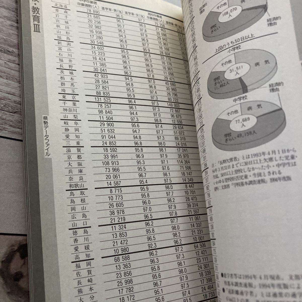 imidas イミダス　DATA BOOK OF JAPAN　データブック日本’95_画像8