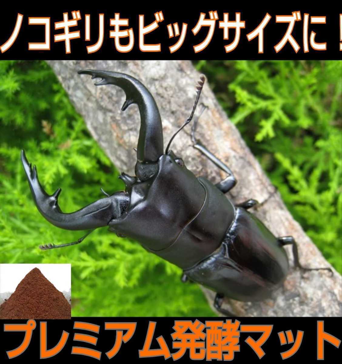 ギラファノコギリクワガタに抜群！　栄養添加剤・共生バクテリア３倍配合！プレミアム3次発酵マット　ミヤマ・アンテにも！産卵にもお薦め_画像10