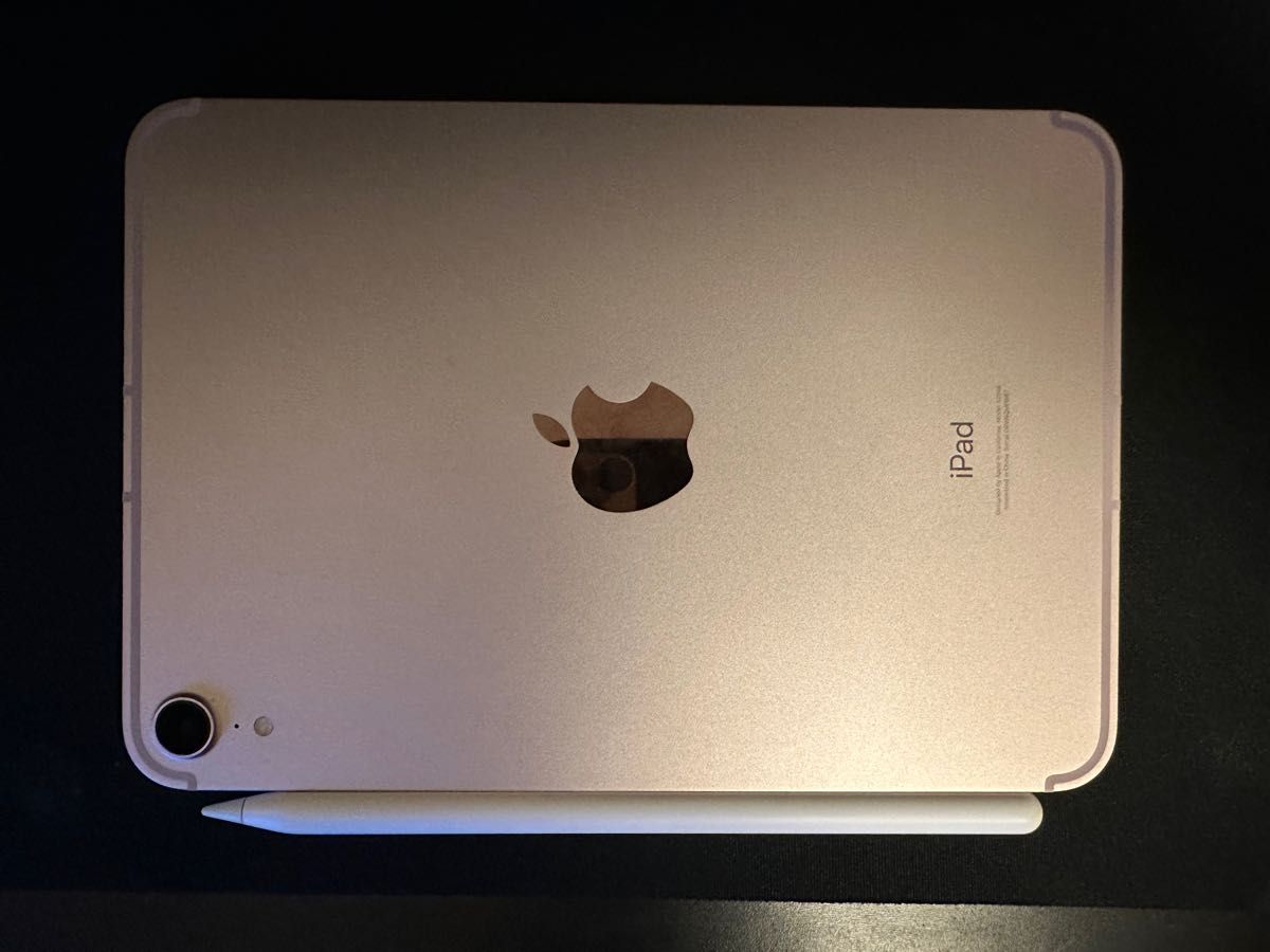 iPad Mini 第6世代 64G Cellular モデル SIM フリー|Yahoo!フリマ(旧
