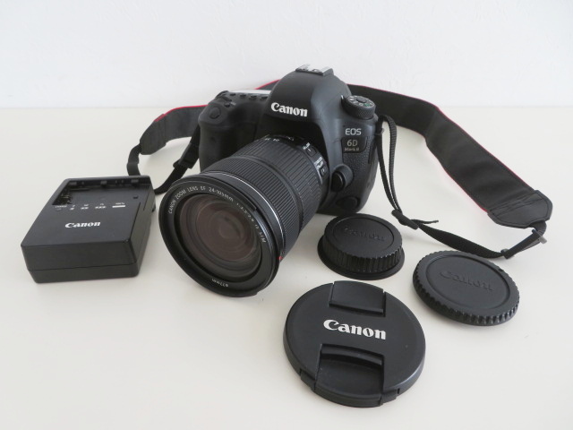 リアル 6D EOS キャノン CANON Mark ズームレンズ付き STM IS EF24-105