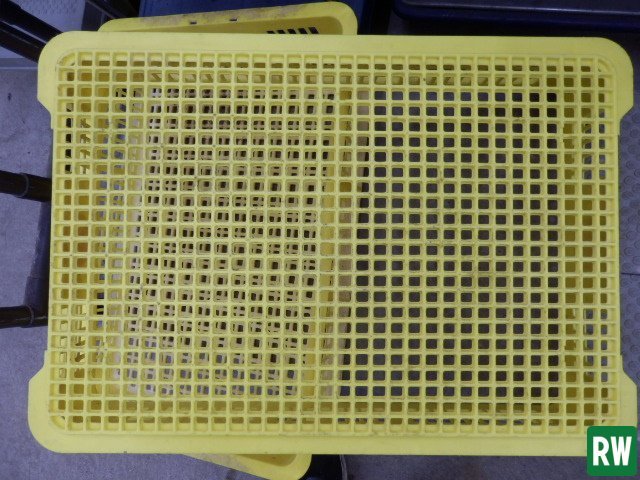 [52 piece set ] number -ply not yet washing goods plastic container sun ko- sun tenor B#18-2 yellow width 625× depth 430× height 115mm mesh [2]