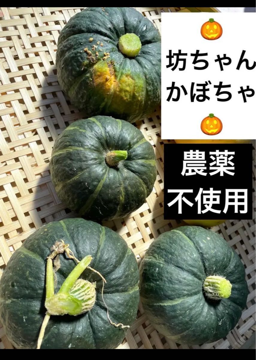 ★農薬不使用★坊ちゃんかぼちゃ★無農薬