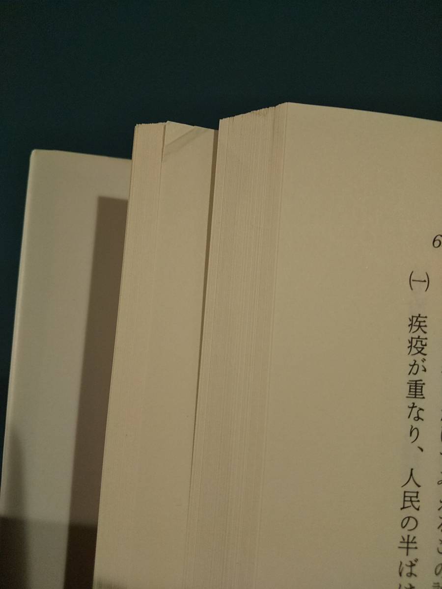 大神と石上 : 神体山と禁足地 ／編= 和田萃 ◎検索用：布留郷 石上信仰 三輪神道 三輪神道 殺馬儀礼　三輪山 石上神宮 大神神社 寺沢薫