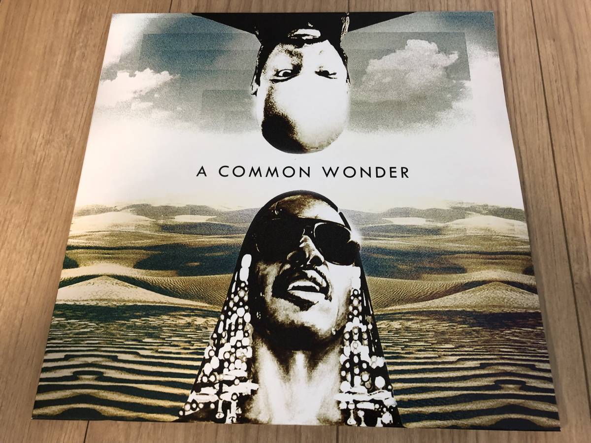 新品★送料無料★COMMON VS STEVIE WONDER★A COMMON WONDER★アナログ盤