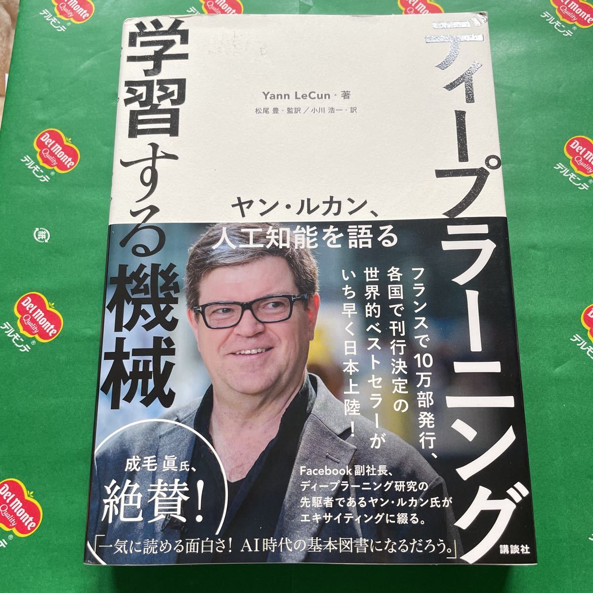 ディープラーニング学習する機械　ヤン・ルカン、人工知能を語る ヤン・ルカン／著　松尾豊／監訳　小川浩一／訳