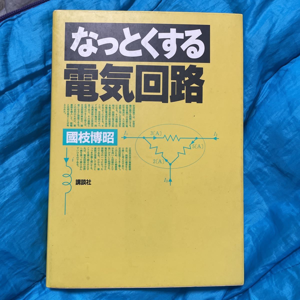 なっとくする電気回路 （なっとくシリーズ） 国枝博昭／著