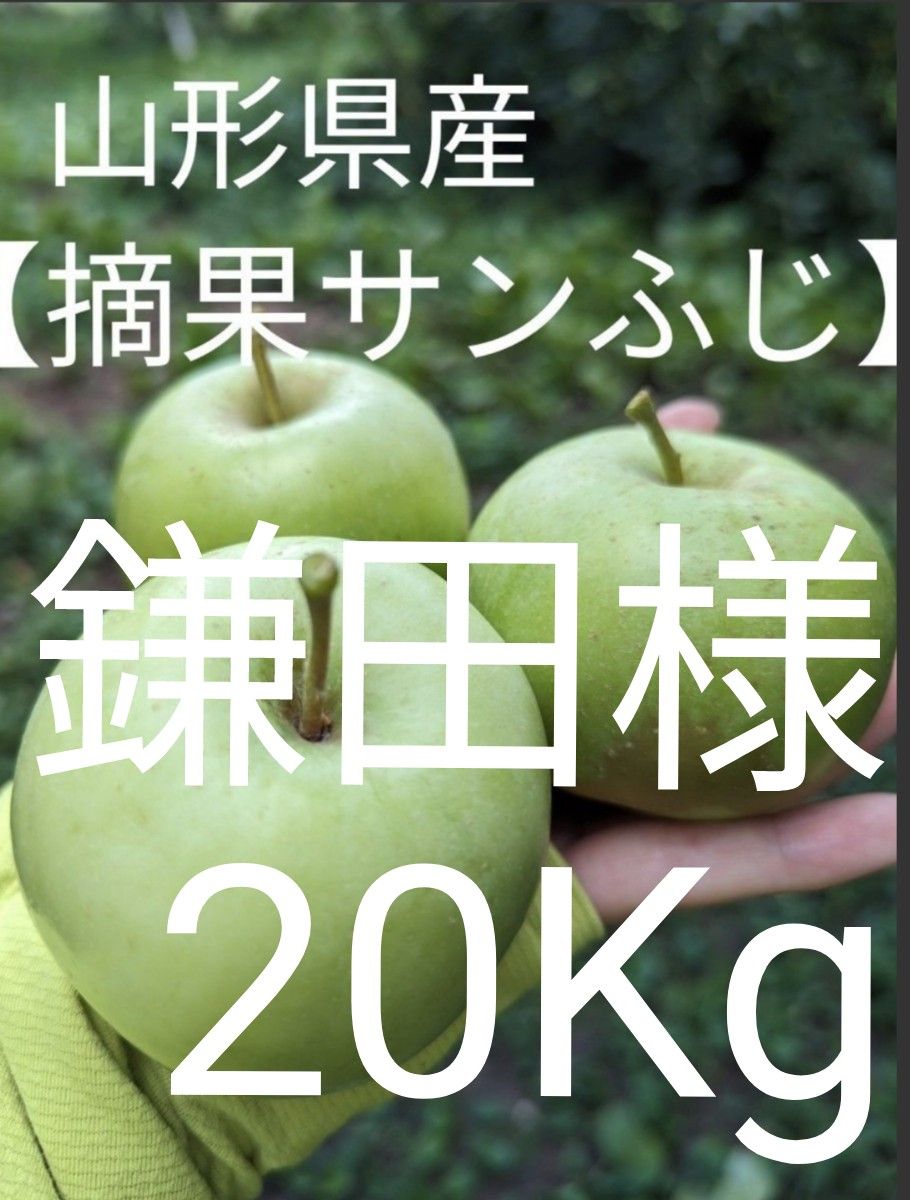 鎌田様 専用 サンふじ【摘果りんご】20Kg加工用|PayPayフリマ