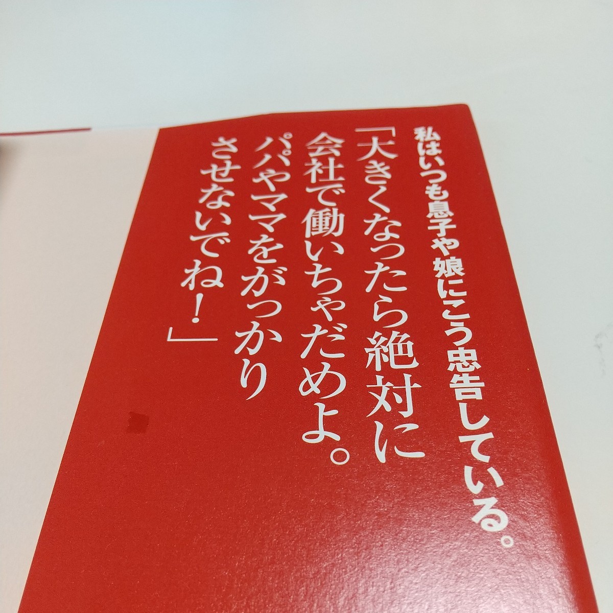 怠けものよ、こんにちは 会社でできるだけ働かない技術 コリンヌ・メイエ 及川美枝 ダイヤモンド社 フランス 労働 中古 01001F004